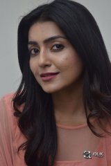 Avantika Mishra At Vaishakham Movie Success meet